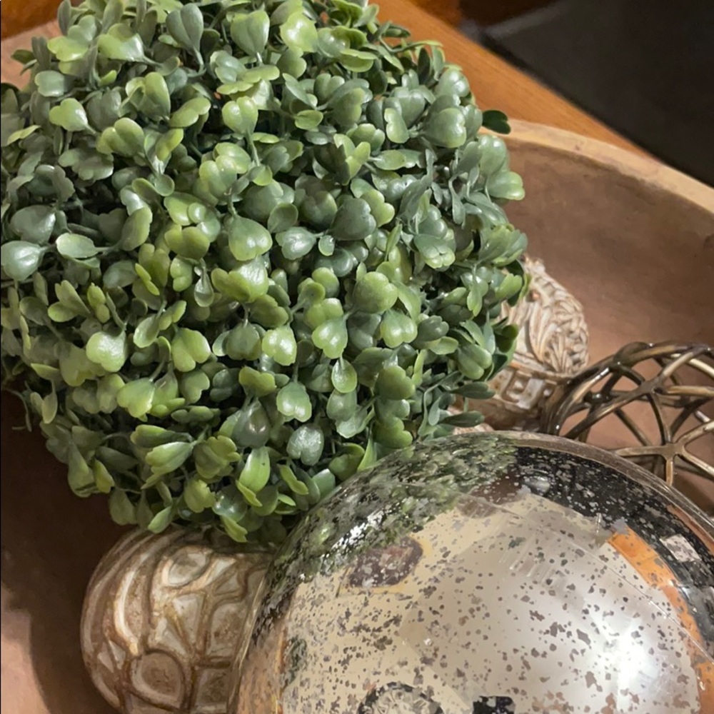 Meet your Posher, Shee